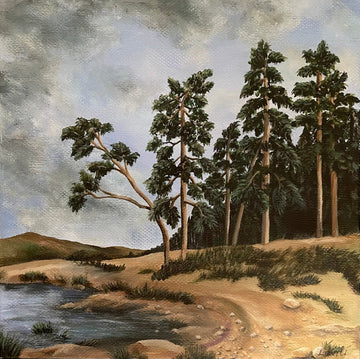 Strand with sequoias